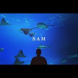 Sam_Wu_1的头像