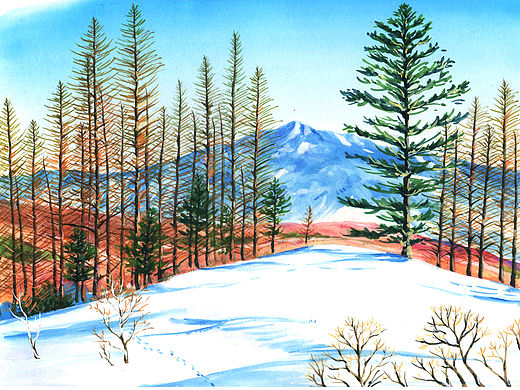 雪景