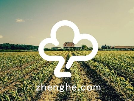 正和云农场Logo设计（个人主页-ZMTA0NjQwNjA=） - Logo - 站酷设计师毛慧华原创素材 - 站酷ZCOOL