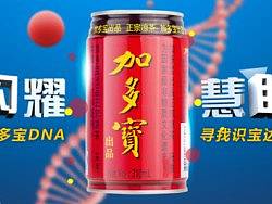 13年 加多宝活动网站设计