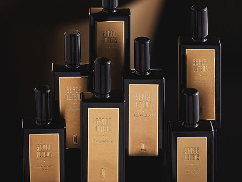 芦丹氏黄金分割