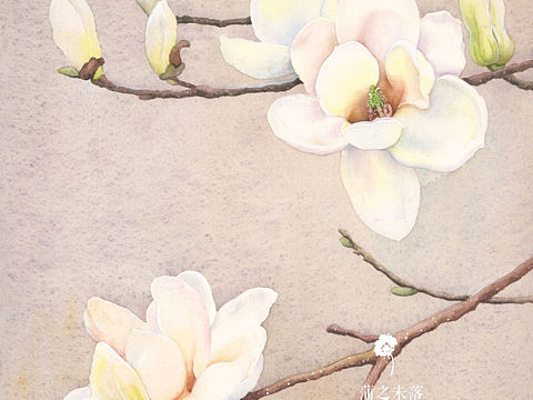 秋冬的小花花合集