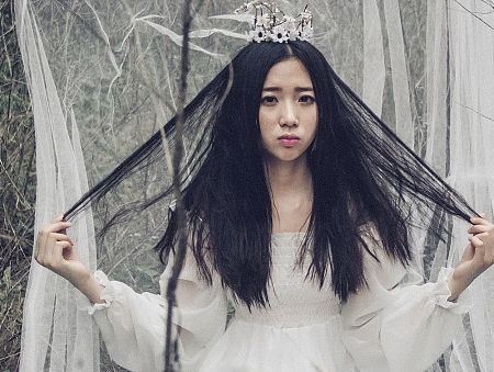 没有阳光的森林