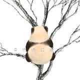 棉棉的绘画的头像