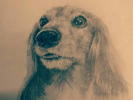 以前画的一些东西（个人主页-ZMjQ2MzAxNjA=） - 绘画 - 站酷设计师石二设计原创素材 - 站酷ZCOOL