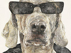 酷狗系列 Cool Dog Φ40cm 亚克力，画布acrylic on canvas