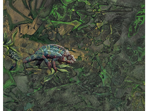 手绘变色龙 🦎