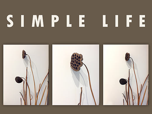 极简风摄影（个人主页-ZMjE3NTc0NTY=） - 产品摄影 - 站酷设计师米修司原创素材 - 站酷ZCOOL