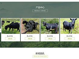 最近做的网页设计 发来大家看看 帮我看看 