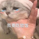 年年恰不饱的头像