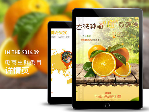 赣南脐橙淘宝生鲜水果类目详情页