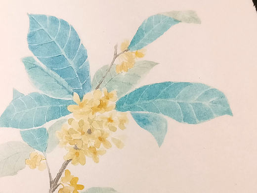 桂花