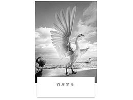公众号