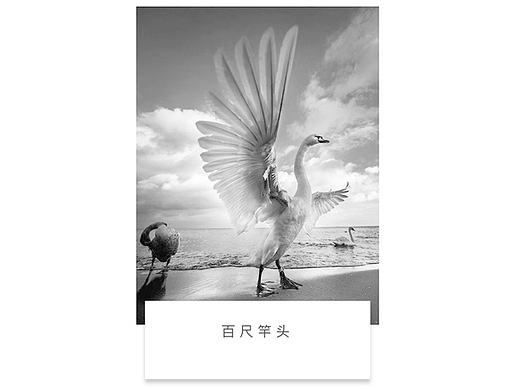 6号公众号文章