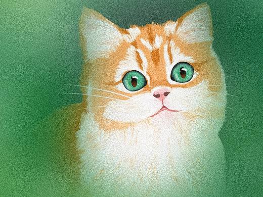 凑齐了九图：可爱的大猫咪~