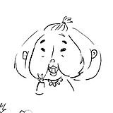AdoraZ的头像