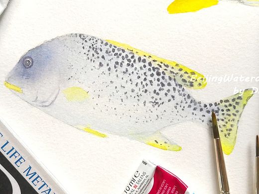 【鱼类识别】 Blackspotted Sweetlips