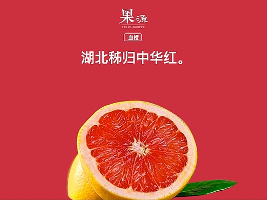 血橙宣传设计
