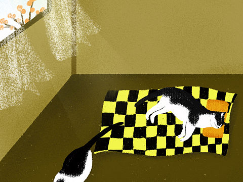 大黑二黑的一天（个人主页-ZNDY3OTUwNDg=） - 创作习作 - 站酷设计师Ivy晨原创素材 - 站酷ZCOOL