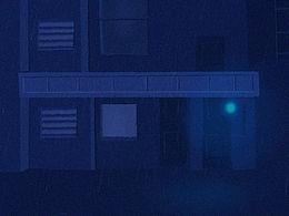 the night