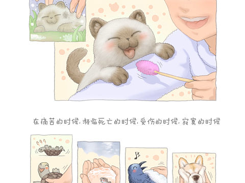 关于蔬菜精灵诞生的小故事