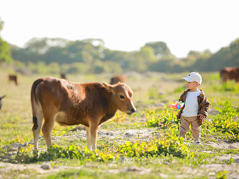 春天系列&1岁4个月