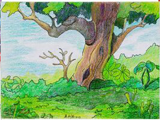 彩铅画（个人主页-ZMTQyNjgxNjA=） - 单幅漫画 - 站酷设计师_XiaoYao原创素材 - 站酷ZCOOL