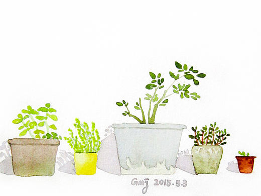 阳光下的植物们（个人主页-ZMTk3Mjg4NDg=） - 创作习作 - 站酷设计师卤大饼原创素材 - 站酷ZCOOL