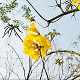 zhongruixue的头像