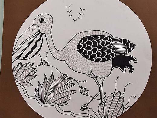 线描鹈鹕