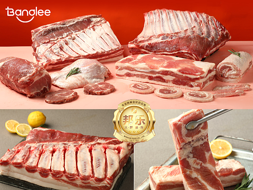 【霈约文化】邦乐品牌logo视觉方案展示