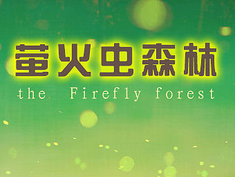 安卓手机主题图标