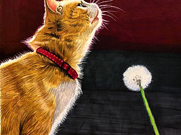 彩铅写实作品《故宫•阳光下的猫》