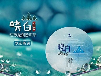 普洱茶海报
