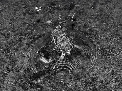 水花（个人主页-ZMTE1NTA4NA==） - 其他摄影 - 站酷设计师jiedada原创素材 - 站酷ZCOOL