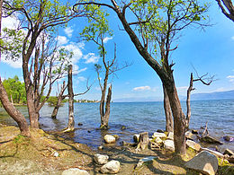 2019年，我的間隔月