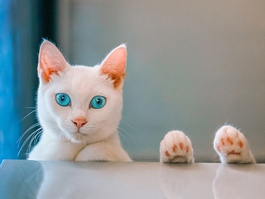 听说她的眼里住着一片蓝色海