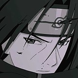 蒲月二十的头像