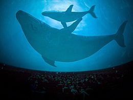 大連金石灘文化博覽廣場球幕影院