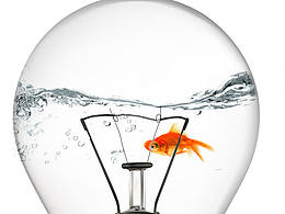 鱼遨游于灯泡