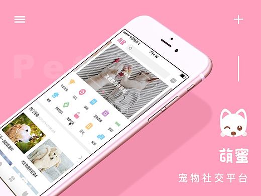 萌蜜宠物社交APP