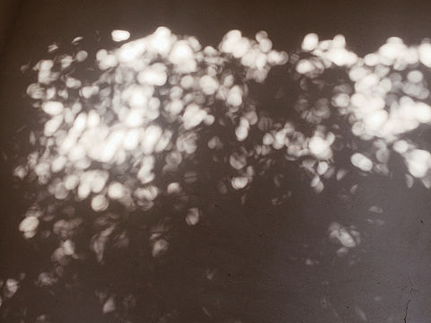 2017帶著手機(jī)看過(guò)的景（個(gè)人主頁(yè)-ZMjU0OTAxMDA=） - 人文/紀(jì)實(shí)攝影 - 站酷設(shè)計(jì)師程迦Luas原創(chuàng)素材 - 站酷ZCOOL