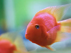 静物小品尝试（个人主页-ZMTEyNTgw） - 产品摄影 - 站酷设计师saluomin00原创素材 - 站酷ZCOOL