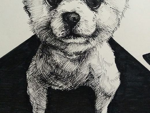 每日一撸。（个人主页-ZMjEzNTk4Mjg=） - 绘画 - 站酷设计师Dyson_J原创素材 - 站酷ZCOOL