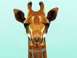 The&nbsp;giraffe&nbsp;