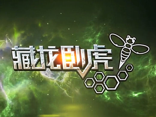 || 藏龙卧虎 || 天津卫视全民创业类节目包装设计 【陈昆Quinn】