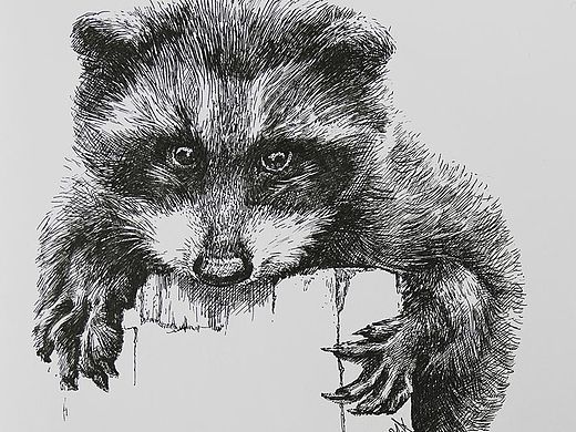 中性笔画、钢笔画动物（个人主页-ZMTU1MzA5NzI=） - 绘画 - 站酷设计师蔡广庆原创素材 - 站酷ZCOOL