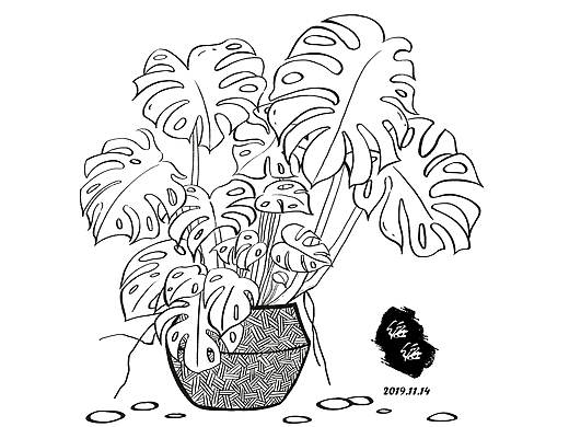 一些植物~（个人主页-ZNDEwNDA5NzI=） - 创作习作 - 站酷设计师熊绥绥原创素材 - 站酷ZCOOL