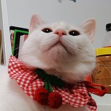 盛恒晴晴的头像