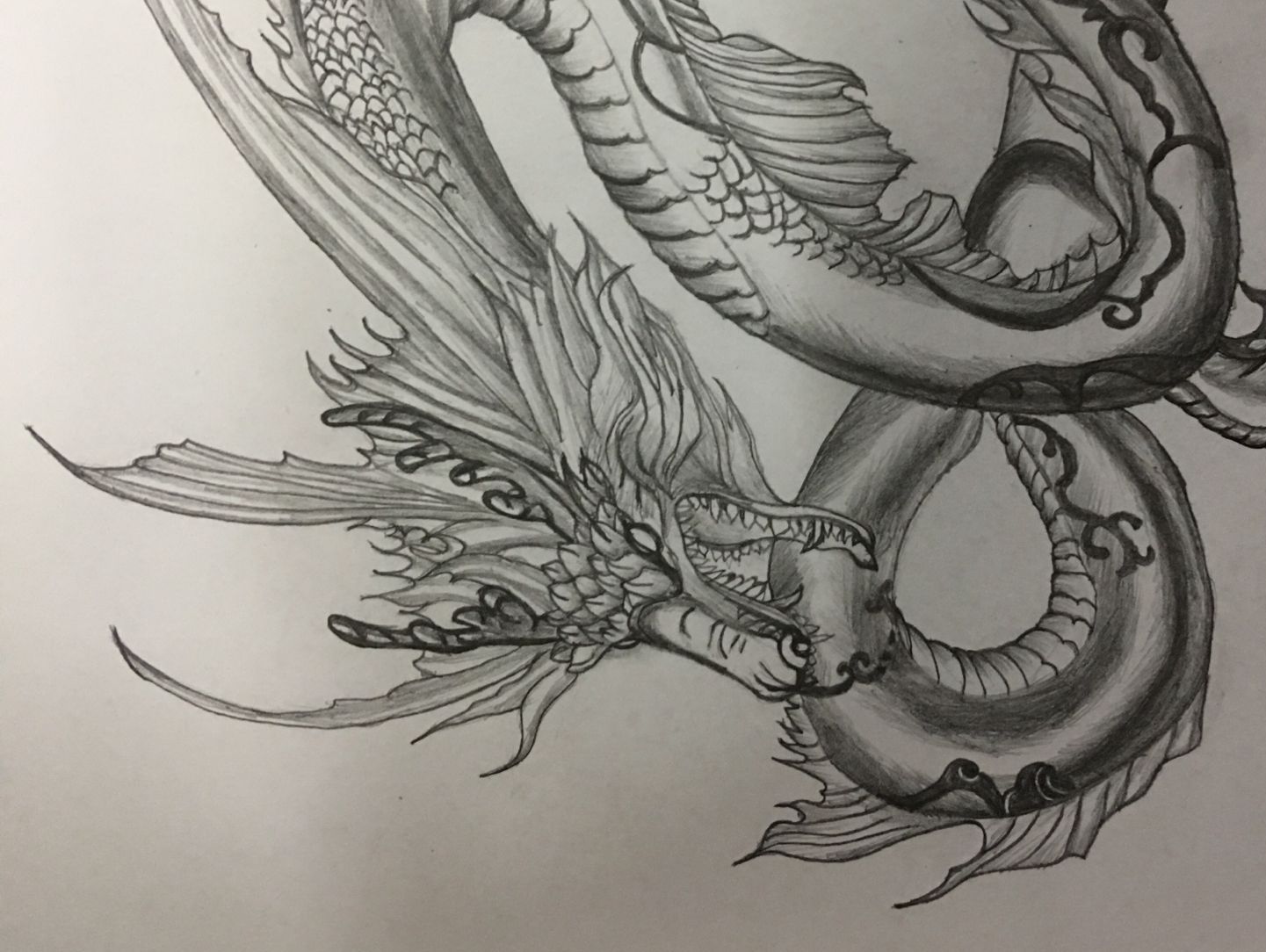 龙